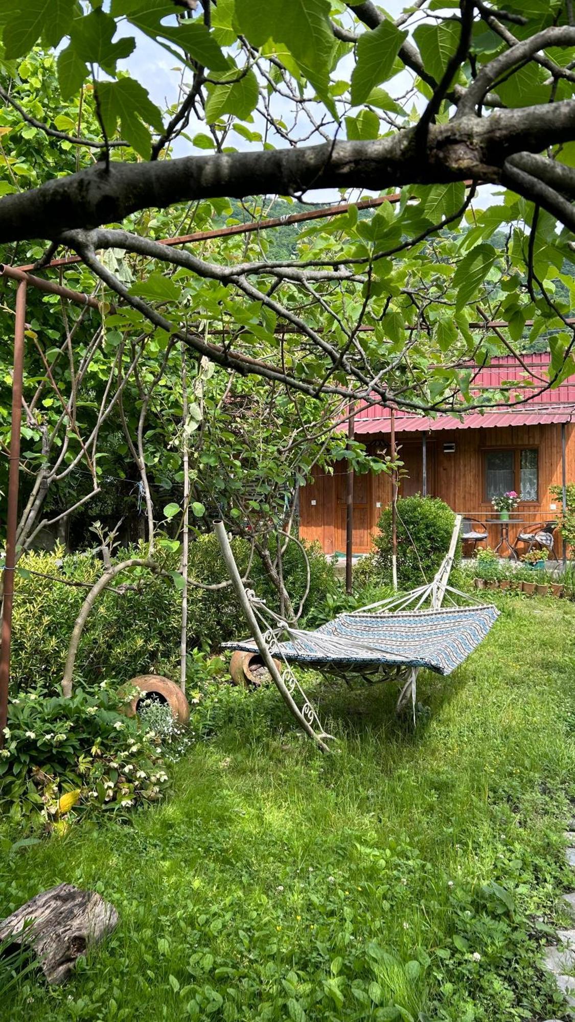 Ludwig Guesthouse Лагодехи Екстериор снимка