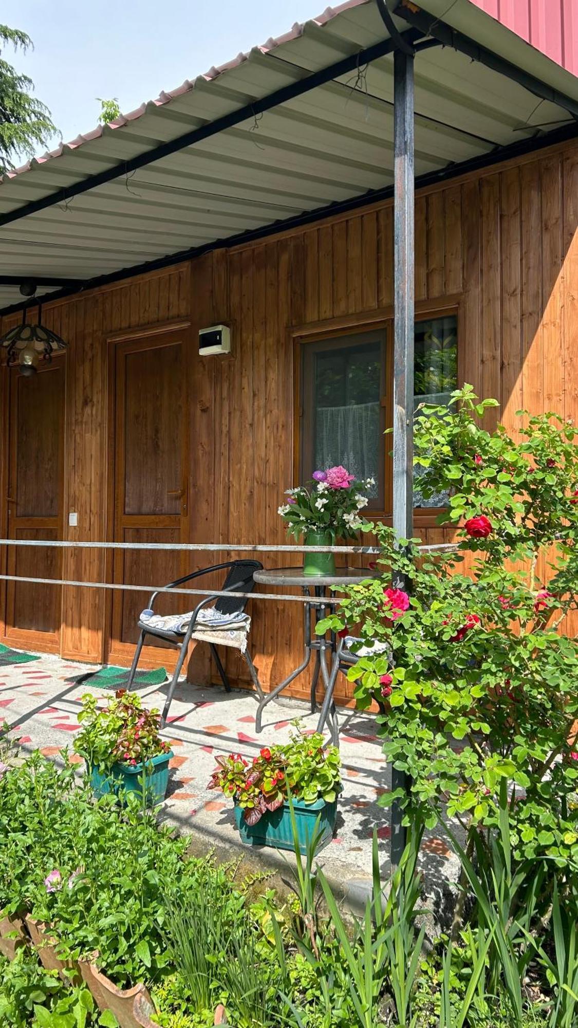 Ludwig Guesthouse Лагодехи Екстериор снимка