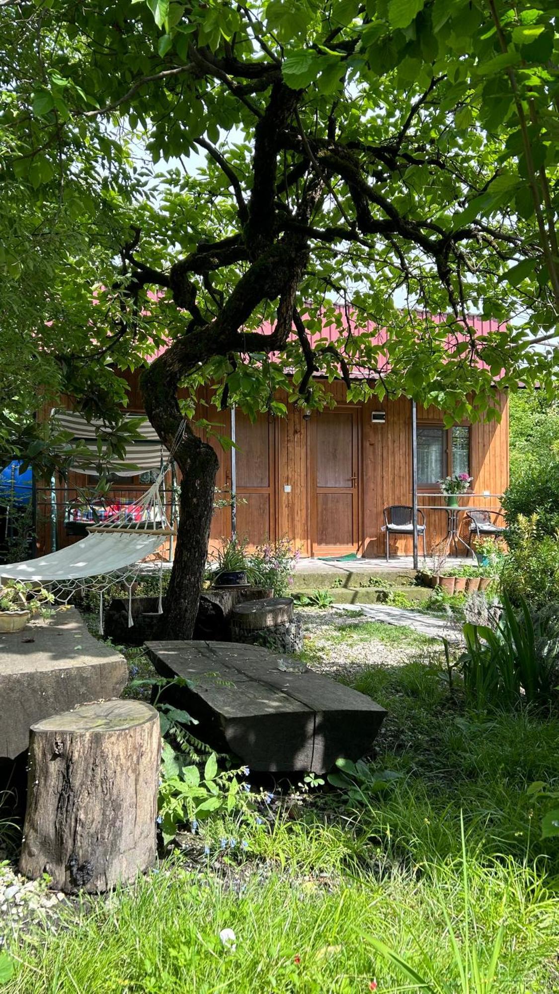 Ludwig Guesthouse Лагодехи Екстериор снимка