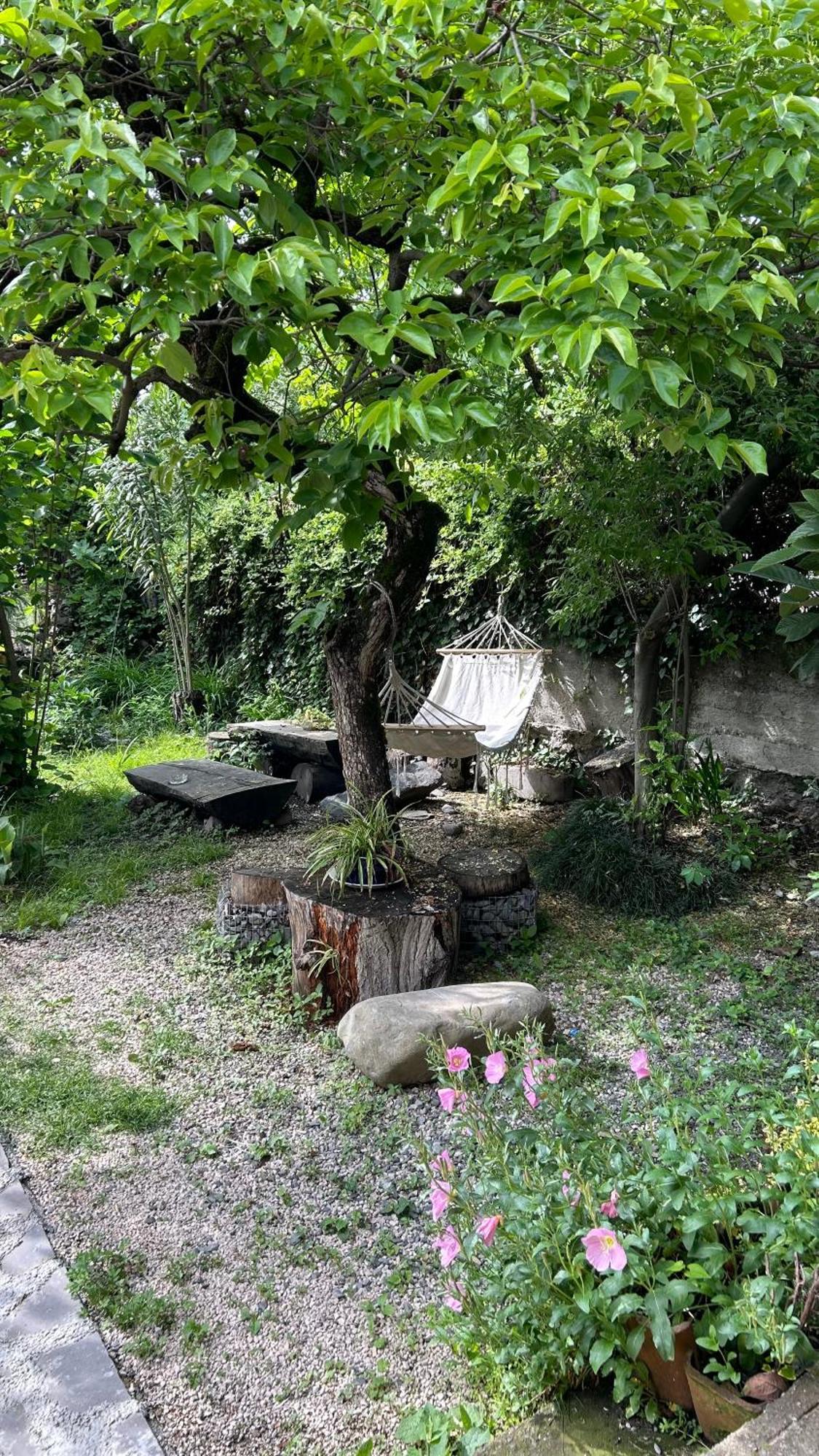Ludwig Guesthouse Лагодехи Екстериор снимка