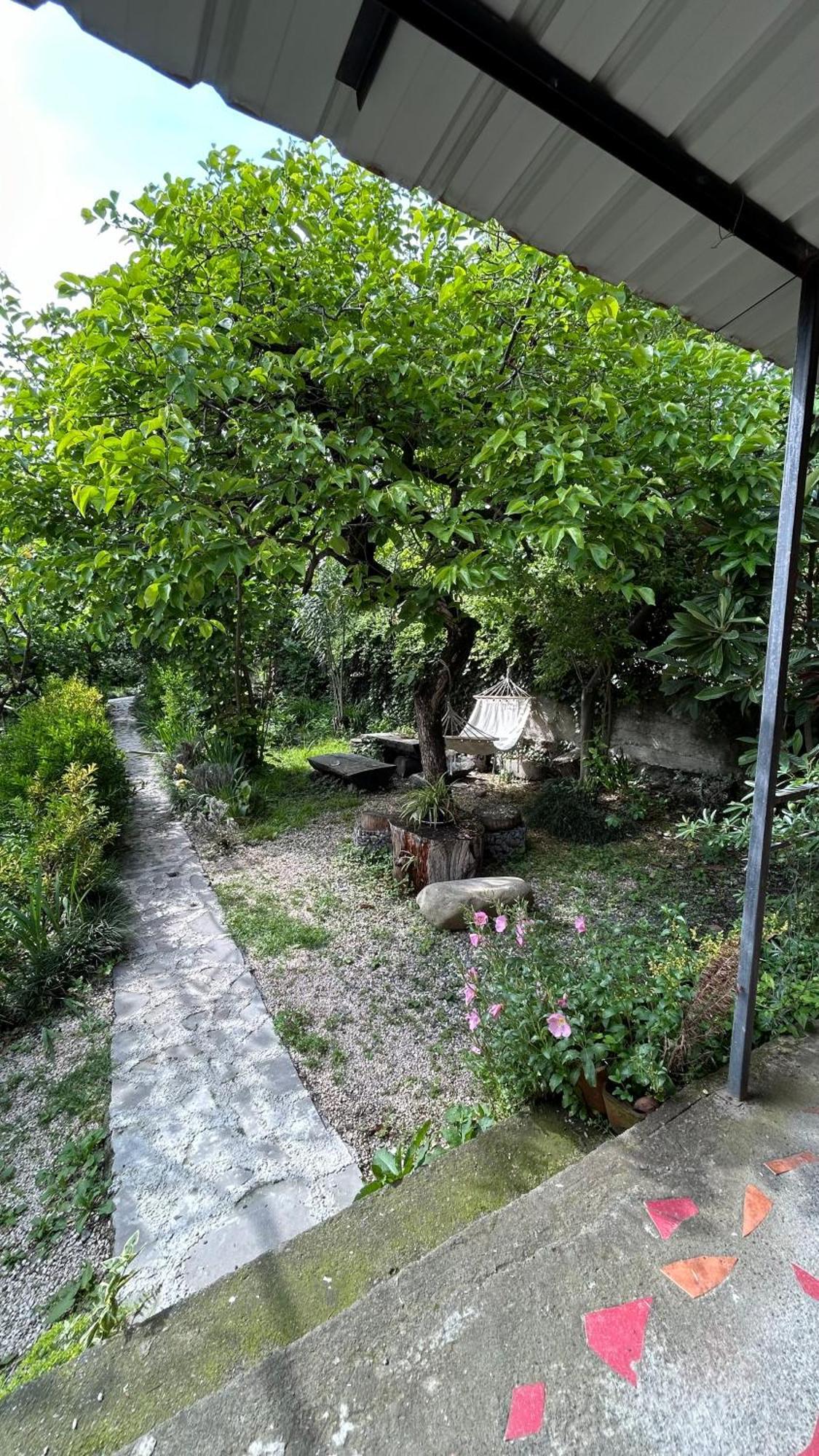 Ludwig Guesthouse Лагодехи Екстериор снимка