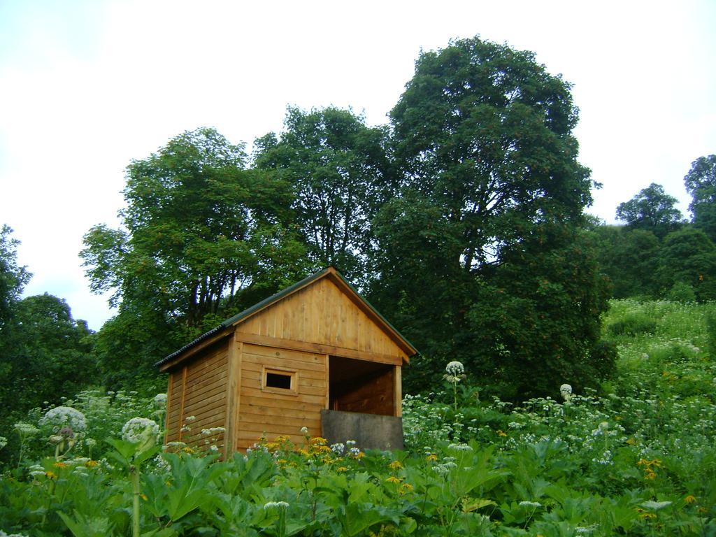 Ludwig Guesthouse Лагодехи Екстериор снимка